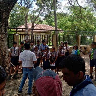 565122173 122180535188771700 4875811390264723521 N